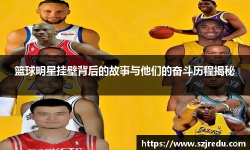 篮球明星挂壁背后的故事与他们的奋斗历程揭秘
